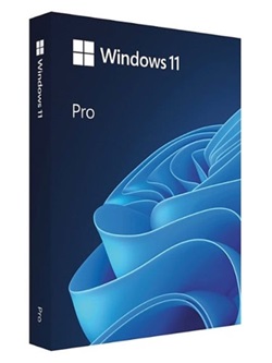 WINDOWS 11 PRO EN-US X64 21H2 [NO TPM] [22621.000] [incl.Office] torrent